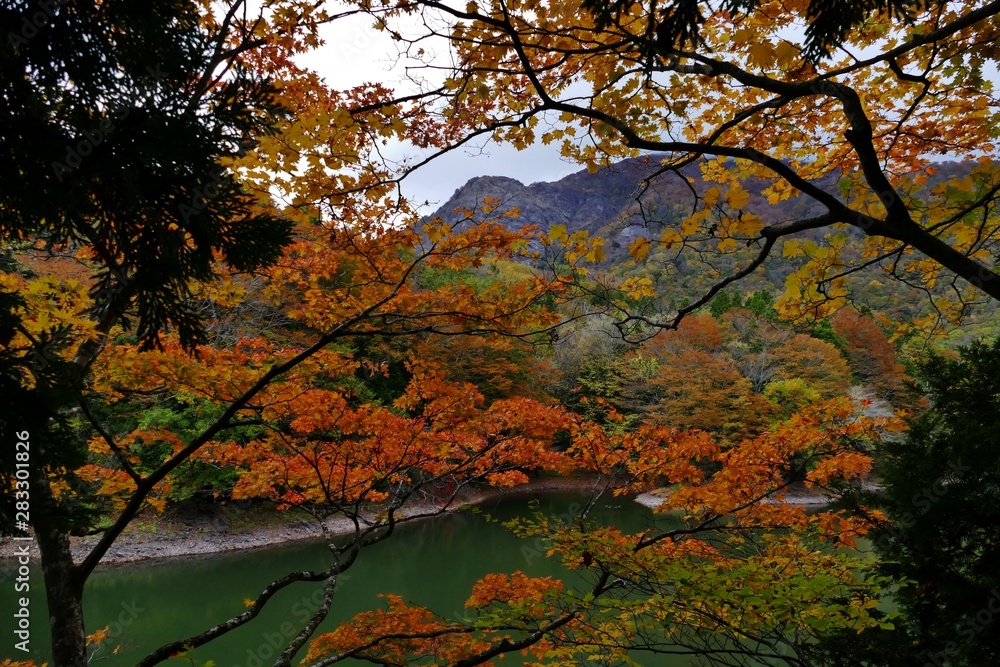 《十二湖の紅葉》青森県深浦町