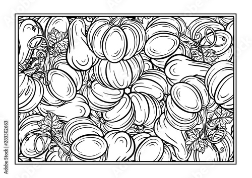 Black and white autumn ornament. Pumpkins and autumn leaves coloring page