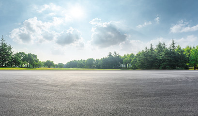 Asphalt race track and green woods nature landscape in summer