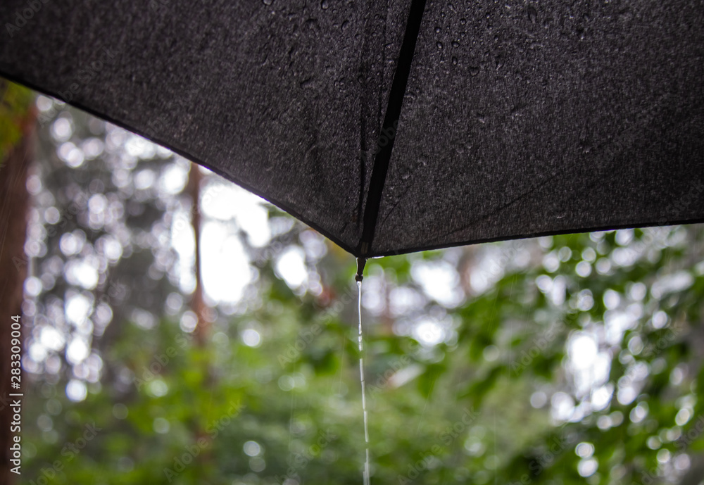 A stream of water draining from an umbrella during rain in a forest