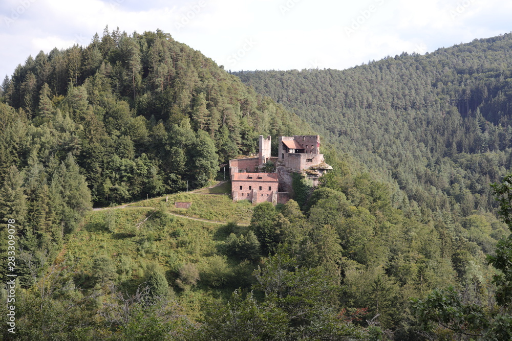 Burg Spangenberg im Elmsteiner Tal