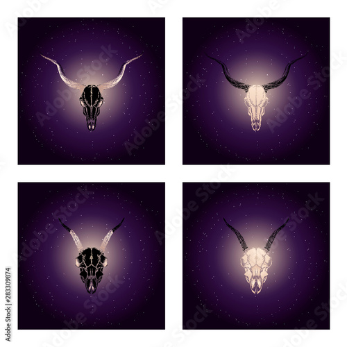 Vector set of four illustrations with hand drawn black skulls antelope and goat with gold elements against the background of the starry sky.