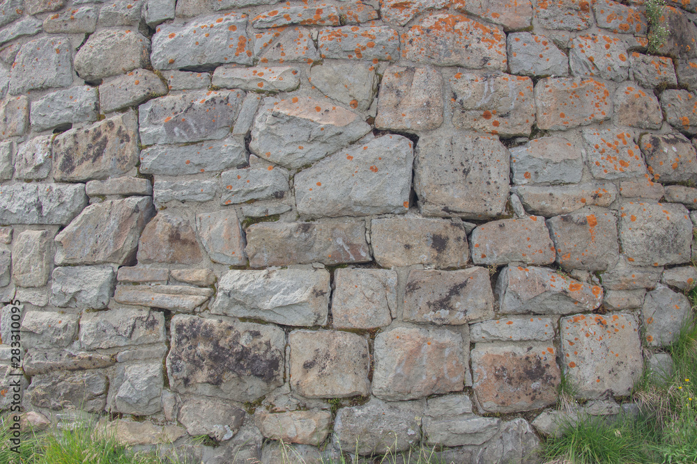 Fototapeta premium Brick wall overgrown with grass and moss. Pledged window with red brick..