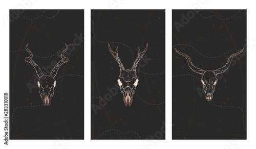 Vector set of three illustrations with gold skulls deer, antelopes and grunge elements on black background.