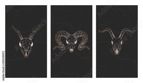 Vector set of three illustrations with gold skulls goats, ram and grunge elements on black background.