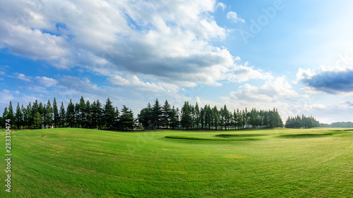 Fototapeta Naklejka Na Ścianę i Meble -  Green grass and blue sky with white clouds in summer season