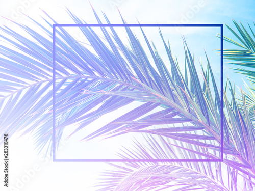 Nature Minimal Concept - Green palm Leaves Background with White Paper Frame in neon toning with gradient.