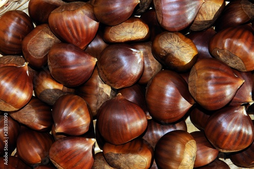 Chestnuts collected from the Serrania de Ronda, Andalusia, Spain.