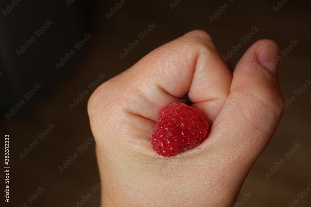 Red raspberry looks great on the hand Red raspberry looks great on the hand