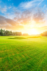 Green grass and forest with beautiful clouds at sunset