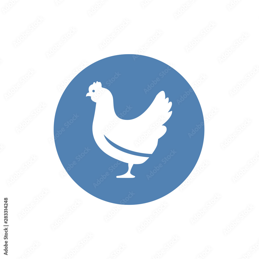 Fototapeta premium vector chicken silhouette isolated on white background