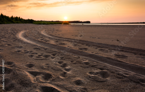 4x4 car tracks and foot prints on a sandy beach over background of warm sunset sky  foliage and water in the horizon. Tranquility and close communion with nature.