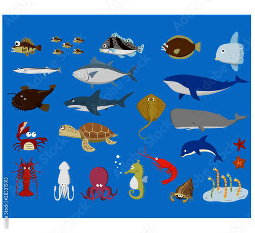 海の生き物セット