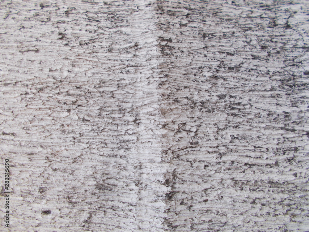 Fototapeta premium Wood texture for design