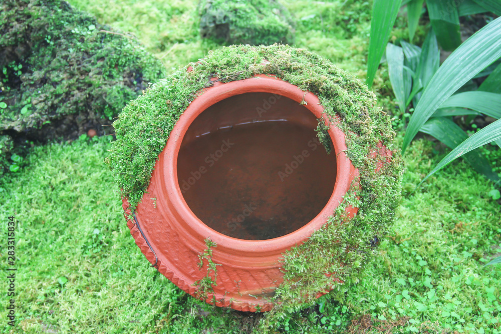 Decorative earthen jar with  green moss patterns growing around and water inside in garden natural background