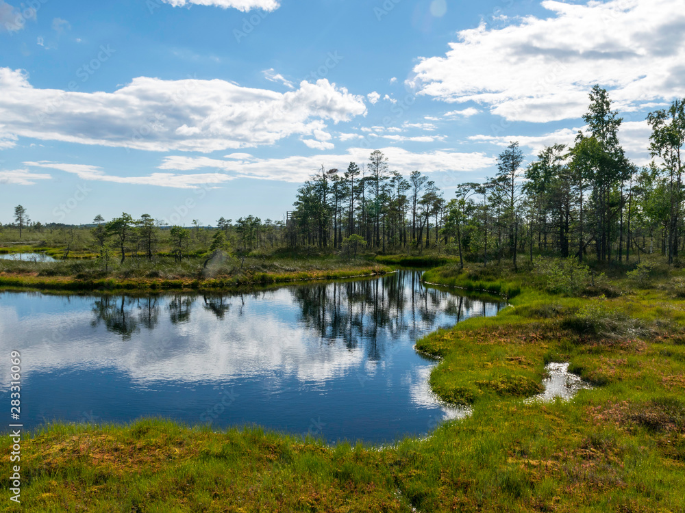 cloudy and very windy day in the bog, many small lakes and beautiful reflections, sunny day, Nigula bog, Estonia cloudy and very windy day in the bog, many small lakes and beautiful reflections, sunny day, Nigula bog, Estonia
