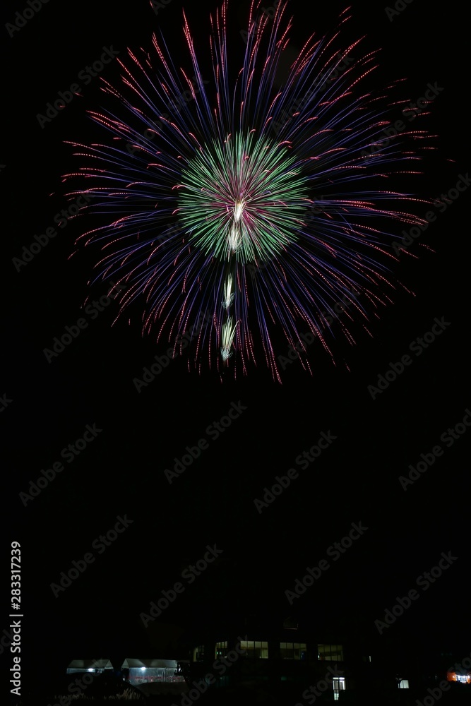 《大曲の花火》秋田県大仙市