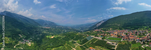 Plantation of fruit trees. Top down aerial view. Winding road through the plantations.