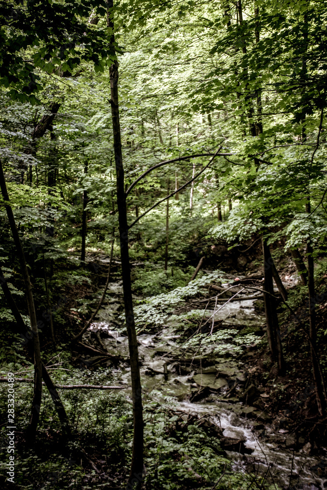 Tiffany Falls Waterfalls in Ontario, Canada