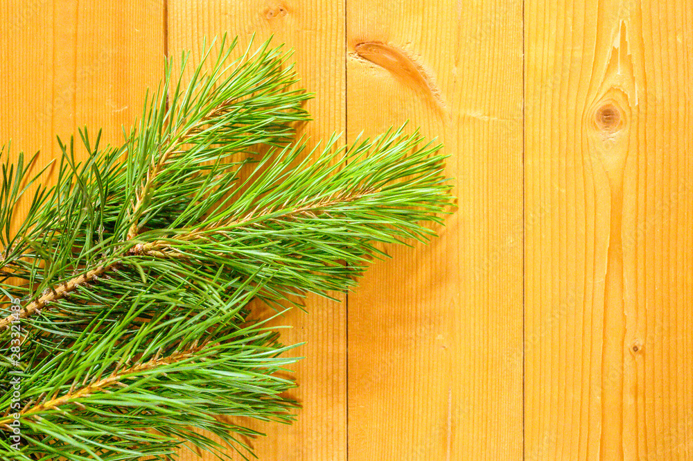Wooden background with pine branch, noise