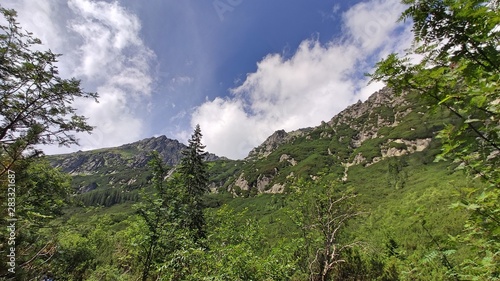 View of the mountain wall in the Tatras. Mountains covered with grasses in summer