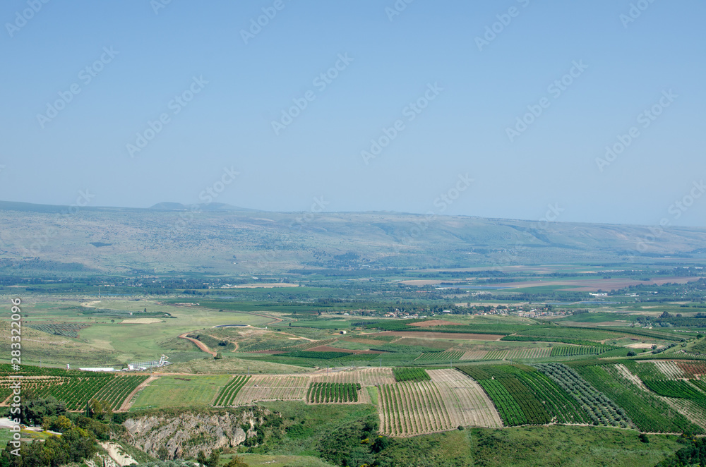 Green farm fields next to Metula - the most northern town in Israel