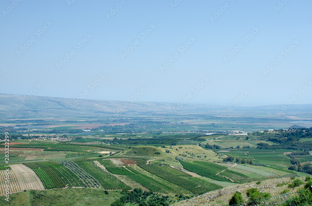 Green farm fields next to Metula - the most northern town in Israel Green farm fields next to Metula - the most northern town in Israel