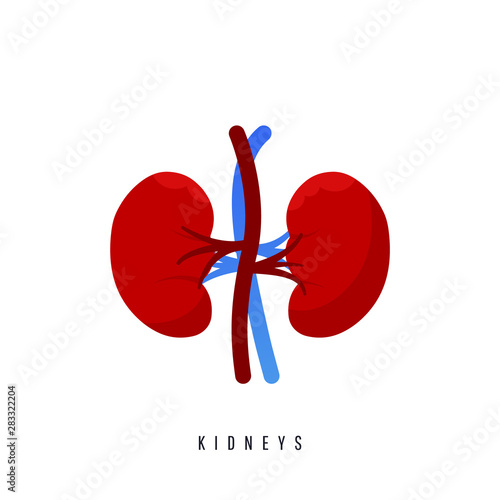 World kidney day card, vector illustration with cute cartoon couple of kidneys