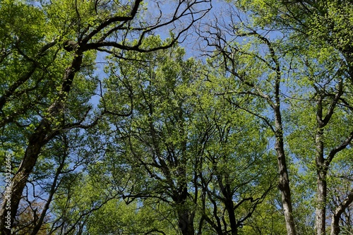 《十二湖の四季》青森県深浦町