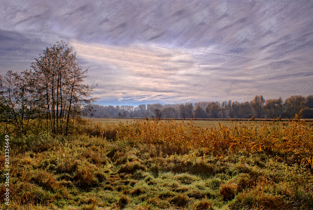 Fototapeta premium Mülheim an der Ruhr Mendener Ruhraue