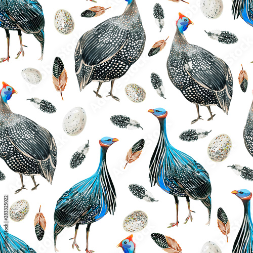 Seamless pattern with hand-drawn guineafowls, spotted feathers and spotted eggs photo