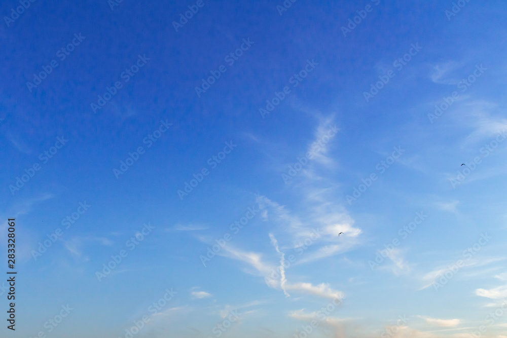 Layout for designer Light blue sky of uniform structure Layout for designer Light blue sky of uniform structure