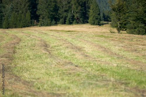 Mowing on mountain hill