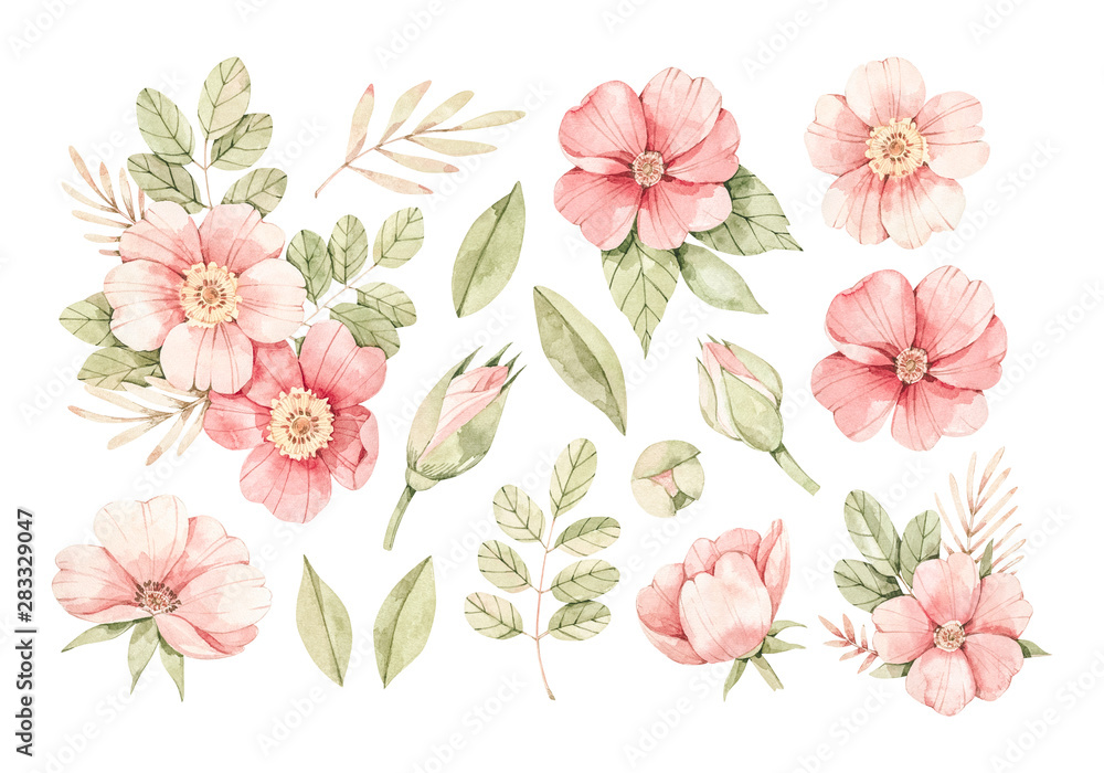 Watercolor botanical illustration. Pink dog-rose blossom. Bouquet with gentle rose, bud, branches and green leaves. Perfect for wedding invitations, cards, frames, posters, packing.