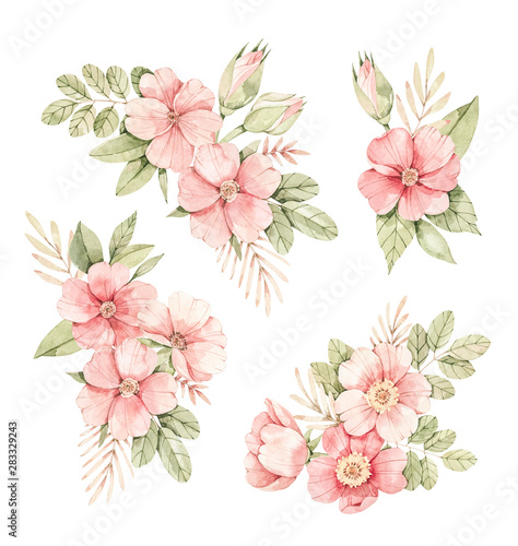 Watercolor botanical illustration. Bouquets with Pink dog-rose blossom (Gentle rose, bud, branches and green leaves). Perfect for wedding invitations, cards, frames, posters, packing.