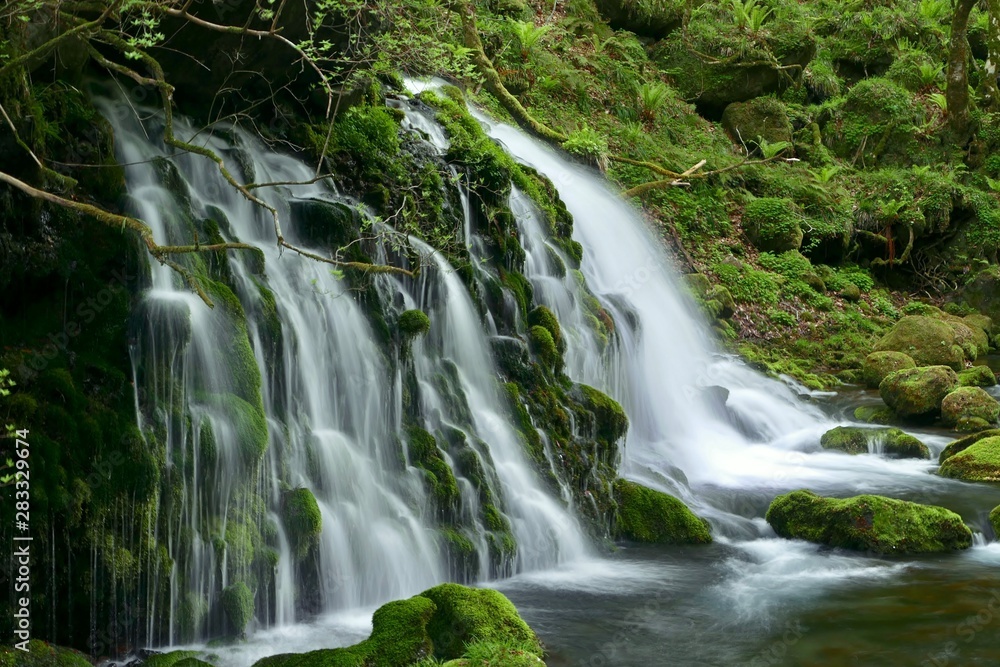 Obraz premium 《元滝伏流水》秋田県にかほ市