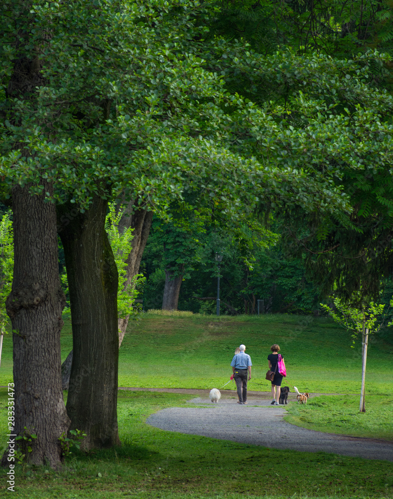 People walking with dogs in the park, in summertime, in Graz, Austria
