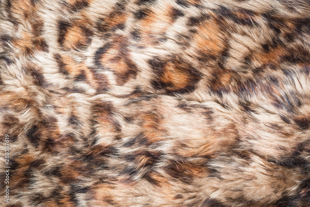 Trendy animal printed pattern of panther long fur textured background Trendy animal printed pattern of panther long fur textured background