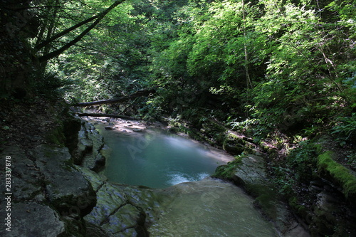 waterfall in forest