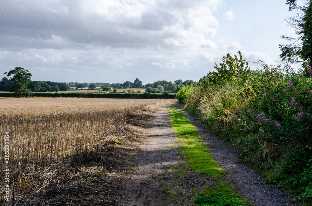 A trail down an edge of a field in the South Staffordshire countryside in The UK.
