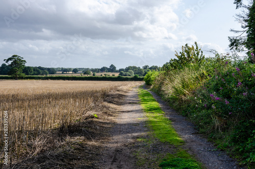 A trail down an edge of a field in the South Staffordshire countryside in The UK.