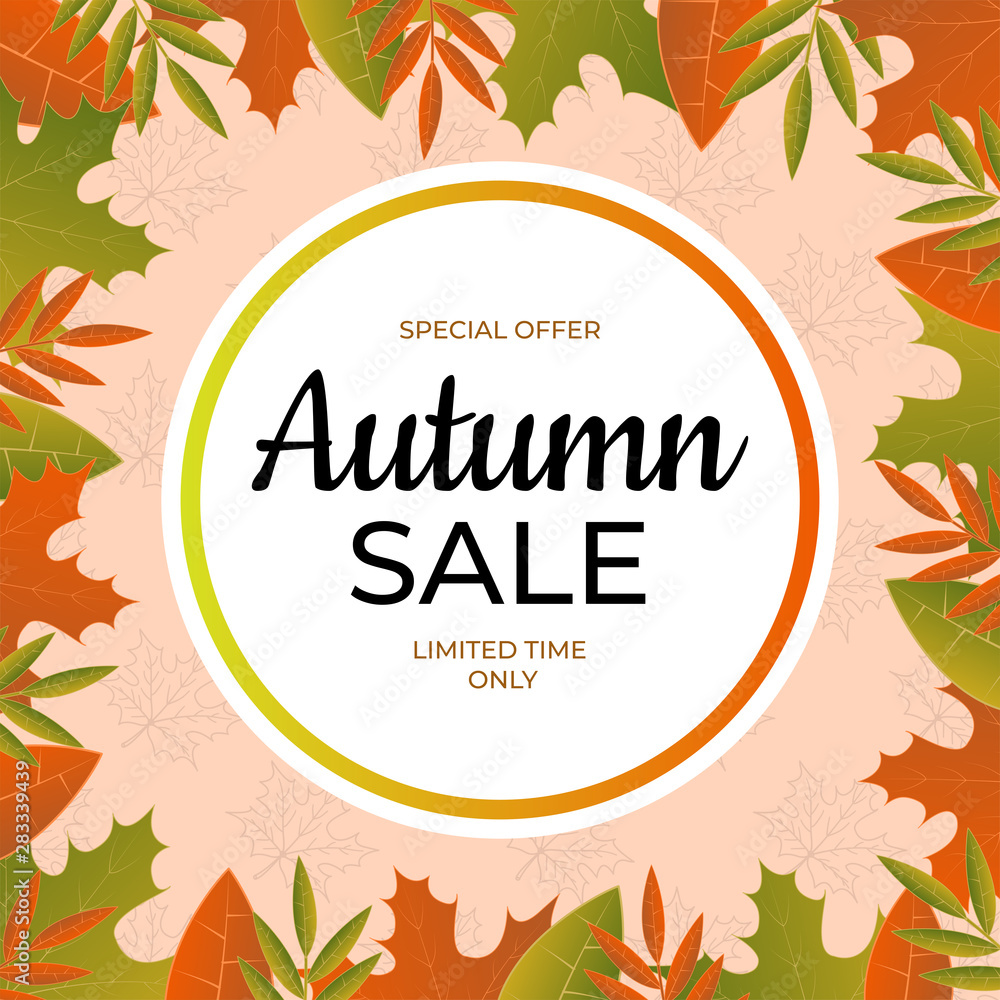 Autumn sale banner. Special offer limited time only. Autumn sale banner. Special offer limited time only.