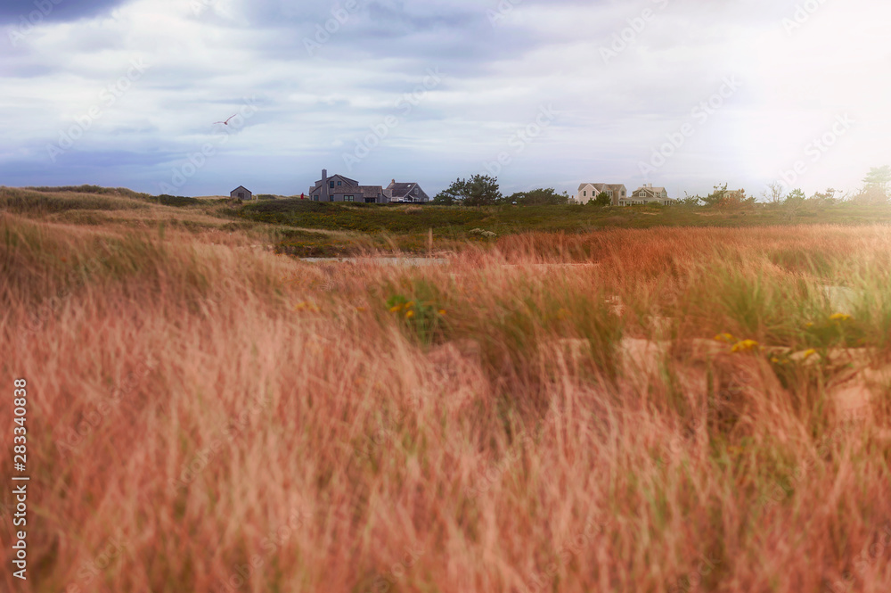 Nantucket Island Landscape