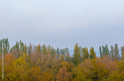 Urban autumn landscape with colorful trees in sunlight