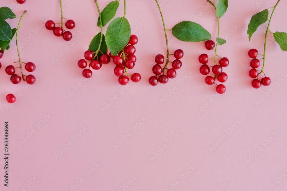 Small juicy red berries in a row horizontally on a pastel pink background with copy space for text. Top view, flat lay. Small juicy red berries in a row horizontally on a pastel pink background with copy space for text. Top view, flat lay.