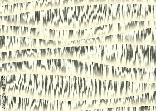 Fototapeta Naklejka Na Ścianę i Meble -  Striped graphic background.