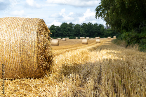 Bales of hay at Harvest time