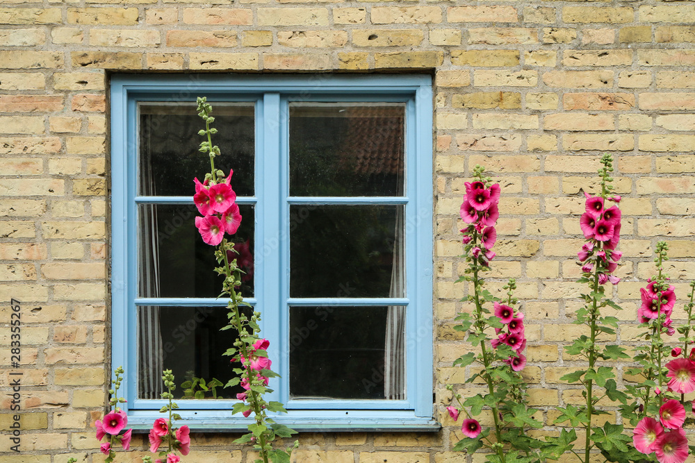 The detail of a part of a facade of the Scandinavian house. The nice flowers are standing in front of the house. 