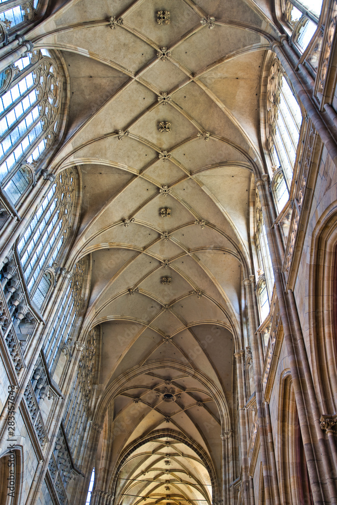 vaulted Ceiling of gothic cathedral with organic geometry element