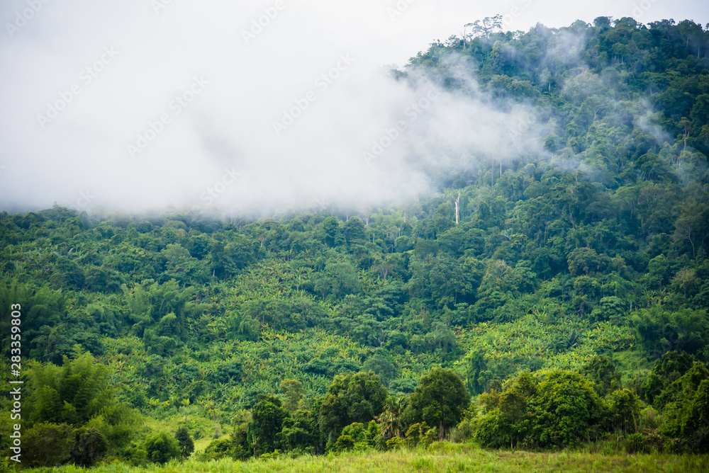 Beautiful landscape view lake of reservoir.Thailand. Beautiful landscape view lake of reservoir.Thailand.